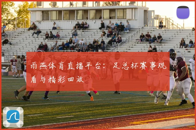 雨燕体育直播平台:足总杯赛事观看与精彩回放